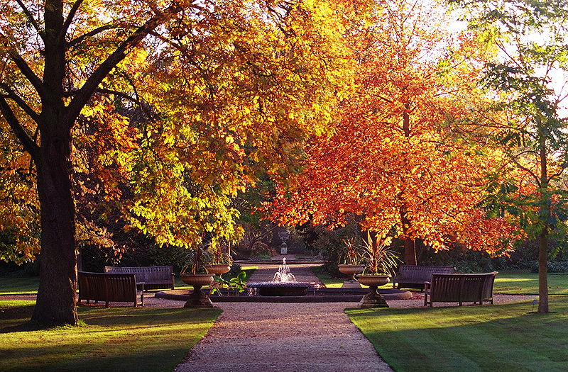 Jardim Botânico da Universidade de Oxford, no outono